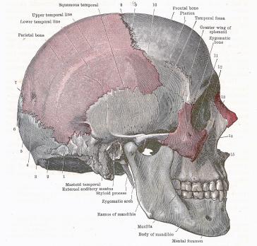 Ernstig schedelhersenletsel met verhoogde intracraniële druk