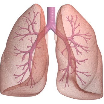 Ventilatie-/perfusiescintigrafie bij chronische trombo-embolische pulmonale hypertensie 