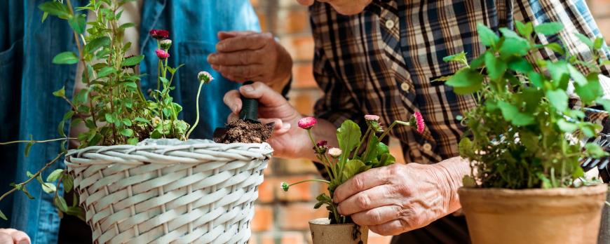 Zingevende daginvulling in de langdurige zorg