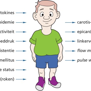 Obesitas op de kinderleeftijd: voorspellende vaten? 