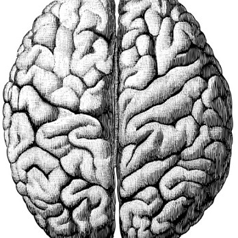 Van zenuw- en zielsziekten naar neuropsychiatrie en gedragsneurologie 