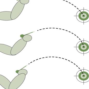 Specifieke motorische leerprincipes