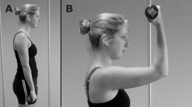 Oefenprogressie in de revalidatie van m. biceps brachii-pathologie (AF, BD)