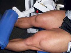 Mythes en feiten rondom de m. vastus medialis