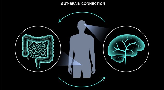 De darm-brein-as bij de bipolaire stoornis