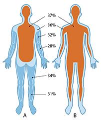 Thermoregulatie in het menselijk lichaam
