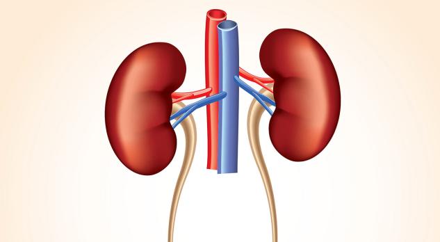 Urologie vrouw
