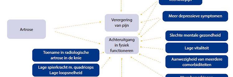 Oefenen op maat bij patiënten met knieartrose en comorbiditeit