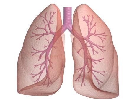 De behandeling van bronchiolitis