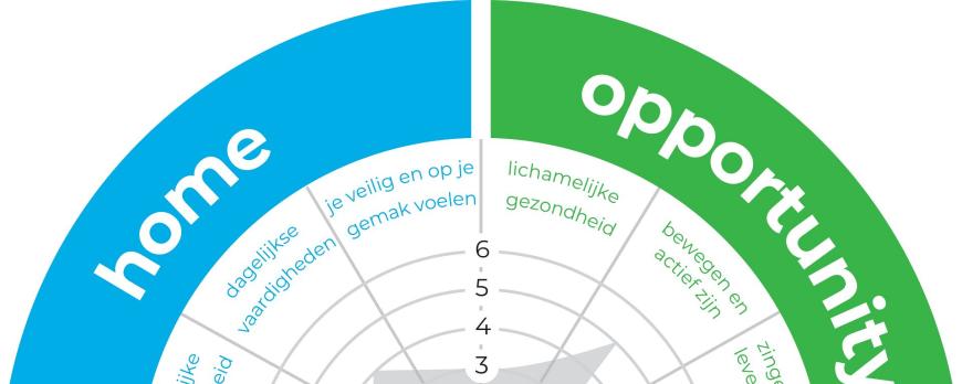 Youth Recovery Outcomes Counter (Y.ROC)