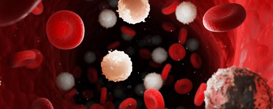 Samen sterk voor mensen met een zeldzame bloedziekte 