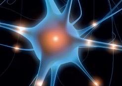 Farmacologische behandeling van pijnlijke diabetische neuropathie