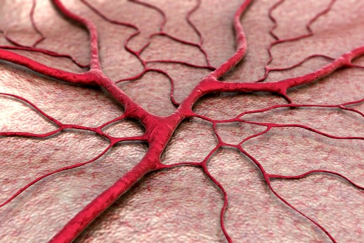 Het effect van een waarschuwingssysteem dat hypotensie voorspelt op de duur en diepte van hypotensie tijdens electieve (niet-cardio)chirurgie