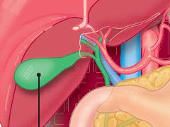 Gastro-oesofageale reflux en dyspepsie