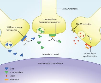 Perioperatieve analgesie met methadon