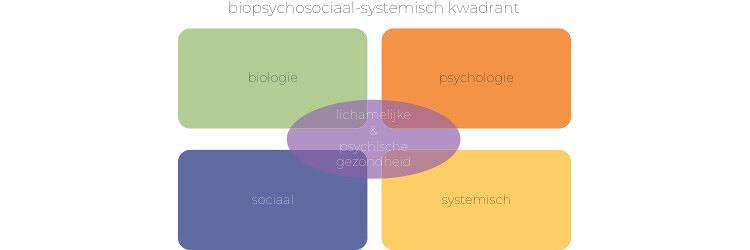 Het biopsychosociaal-systemisch kwadrant: voorbij het kind kijken