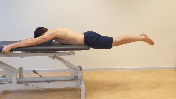 Chronische niet-specifieke lage rugpijn: een actieve aanpak (BD, AF)