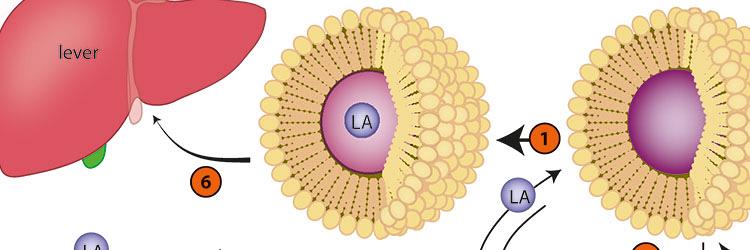 Intralipid