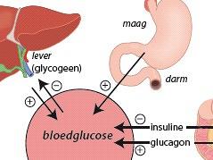 Orale behandeling van diabetes mellitus type 2 en te injecteren incretines