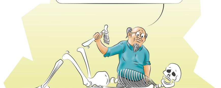 Epimusculaire myofasciale krachttransmissie, hoe belangrijk is het eigenlijk?