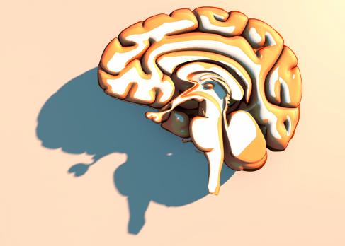 Cerebrale reorganisatie bij de ziekte van Parkinson