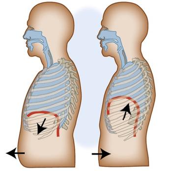 Fysiotherapeutische behandeling van maag-darmziektes (AF, BD)
