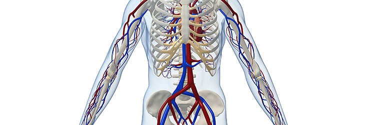 Het gebruik van idarucizumab bij een gastro-intestinale bloeding