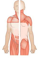 Polymyalgia rheumatica