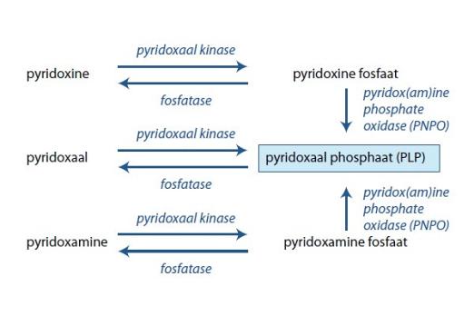 Pyridoxineafhankelijke epilepsie