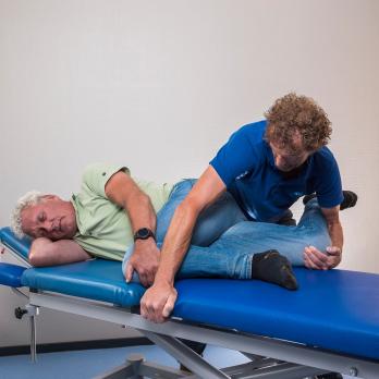 Het lumbosacraal radiculair syndroom vanuit fysiotherapeutisch perspectief (AF, BD)