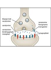 Acute complicaties bij een ecstasy-intoxicatie