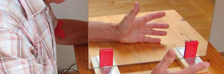 Ons plastische lichaamsschema