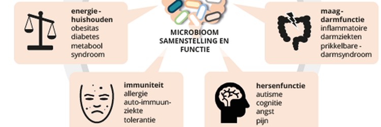 De rol van voeding op het darmmicrobioom 