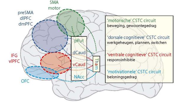 Neuropsychiatrische complicaties van dopaminerge behandeling bij Parkinson 