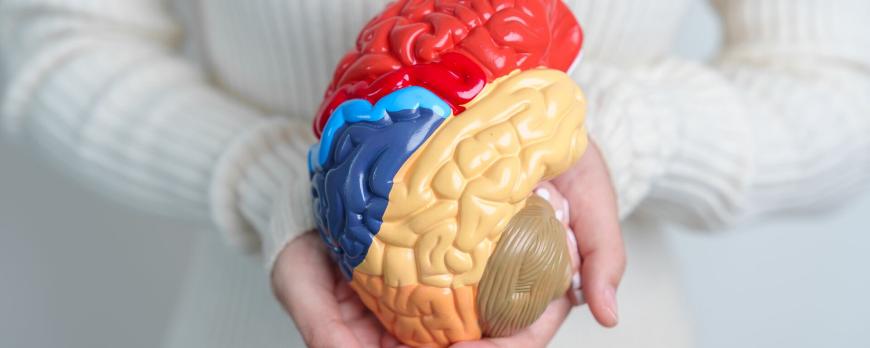 De fysiotherapeut als casemanager bij aanhoudende klachten na een hersenschudding (VI)