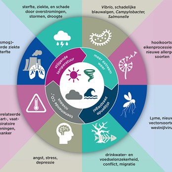 Planetary Health in de sociaalgeneeskundige spreekkamer 