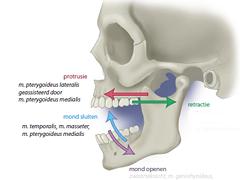 Temporomandibulaire dysfunctie