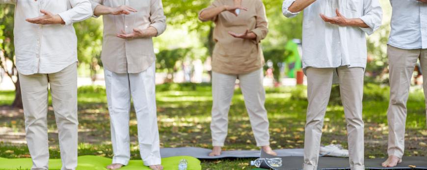 Pijn bij dementie, ook een uitdaging voor de fysiotherapeut! (VI)