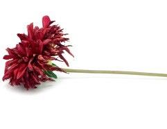 Zorg voor mensen die bewust afzien van eten en drinken om het levenseinde te bespoedigen