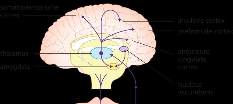 Het risico op postoperatieve pijn