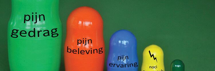 De relatie tussen fascia en pijn (AF/BD)