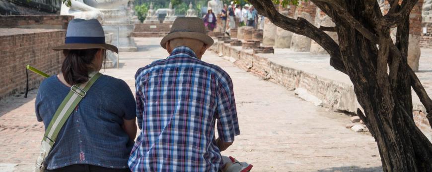 Voorkomen van hittestress bij kwetsbare ouderen (BG)