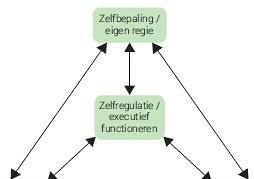 Functioneel herstel en zelfregulatie in de psychische gezondheidszorg. De rol van verpleegkundige?