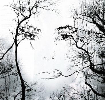 Vrouwen en psychose