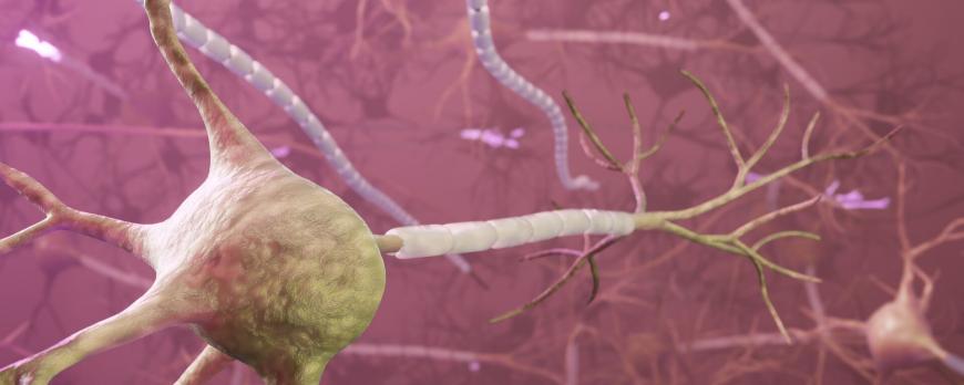 Epilepsie bij kinderen