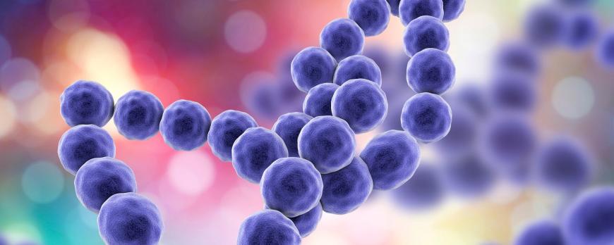 Medische microbiologie