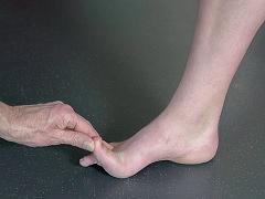 Functionele anatomie en kinematica van de voet