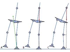 Stabiliteit in menselijk bewegen deel 1: een mechanisch perspectief