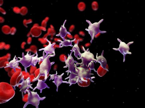 Immuungemedieerde trombocytopenische purpura