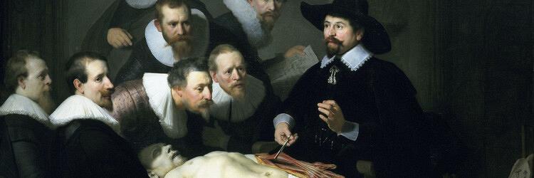 Overzicht van de vele facetten van pijn